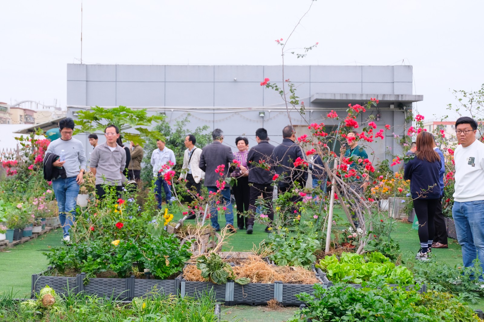 樹字開放日三樓花園 樹字開放日三樓花園